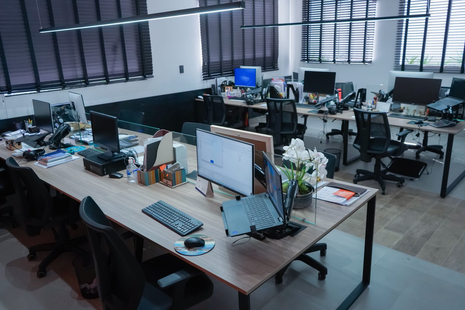 Cópia de @paulo_azevedo_fotografias-308